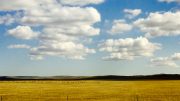Hulun Buir Prairie